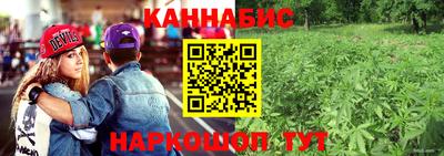 винт Донецк