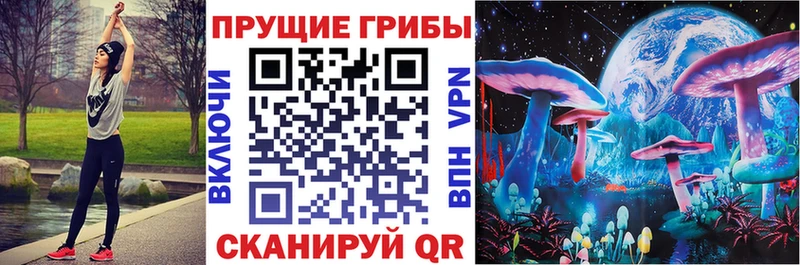 где купить наркоту  Можайск  Галлюциногенные грибы MAGIC MUSHROOMS 