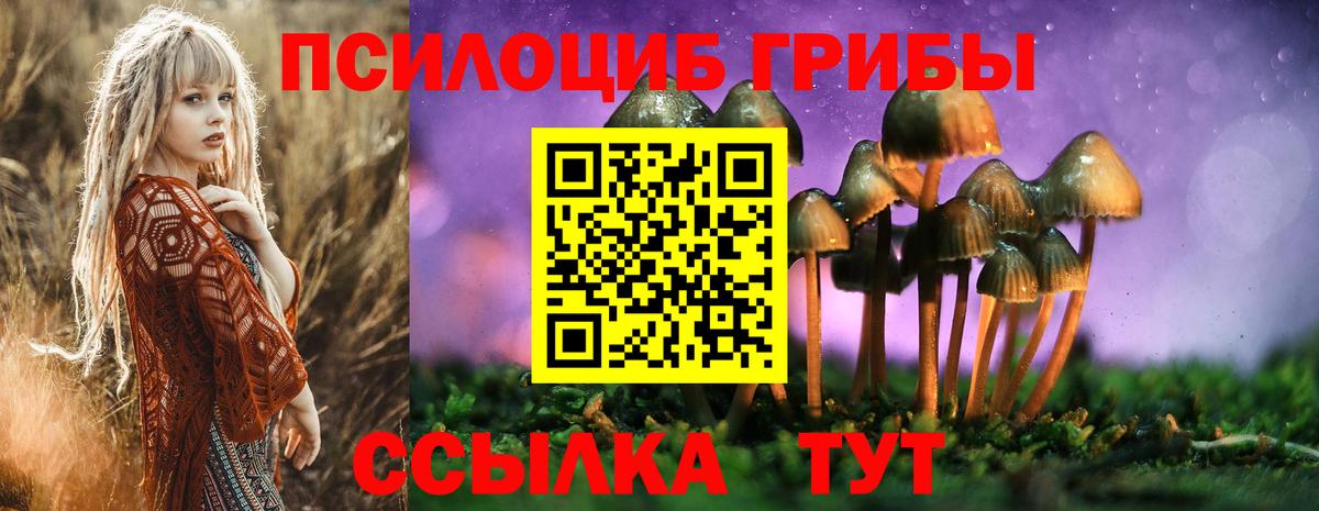 Можайск  закладка  Вход с VPN  Псилоцибиновые грибы мухоморы  Псилоцибиновые грибы мицелий 
