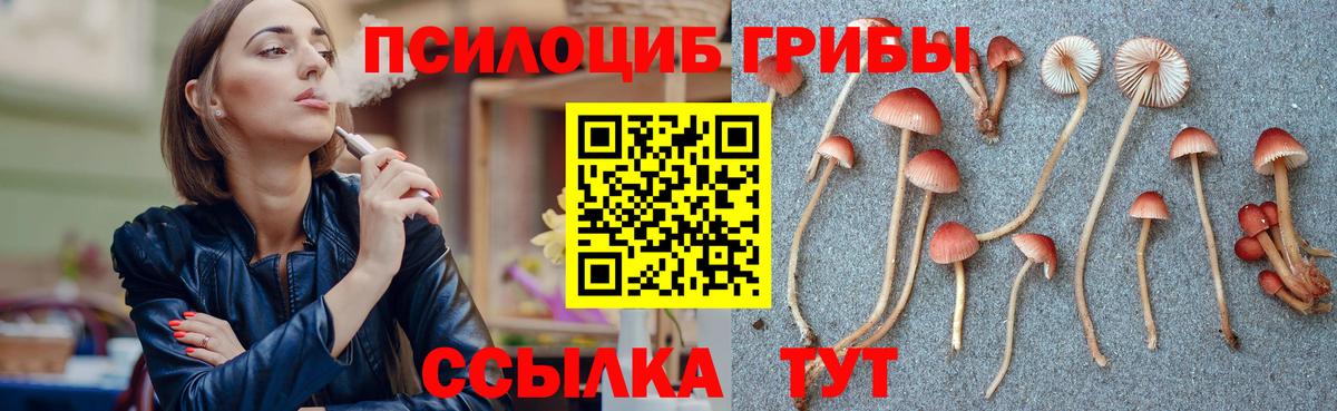 Псилоцибиновые грибы мухоморы Можайск
